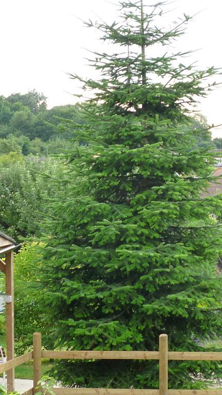 Апартаменты Hopewell Self-Catering Грейвсенд Экстерьер фото